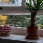 Frisse-lucht-in-huis