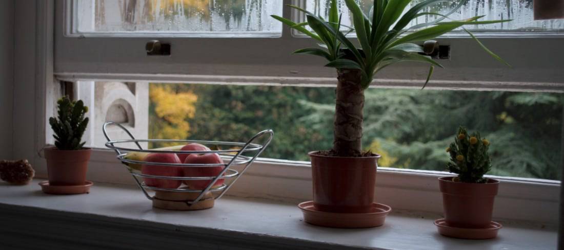 Frisse-lucht-in-huis