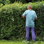 Tuingereedschap