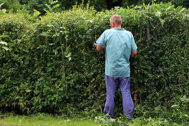 Tuingereedschap