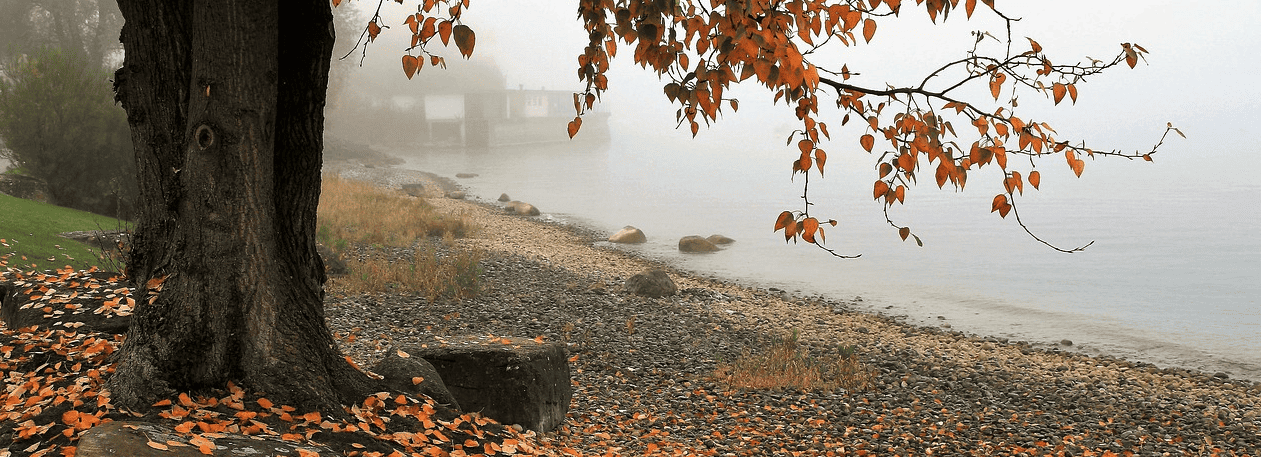 voordelen-herfstwandeling