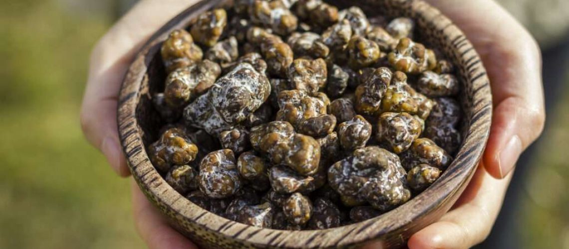 microdosing-truffels